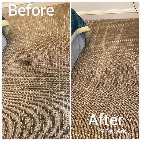 Carpet Cleaning Hook Heath Carpet Cleaning Surrey Carpet Bird