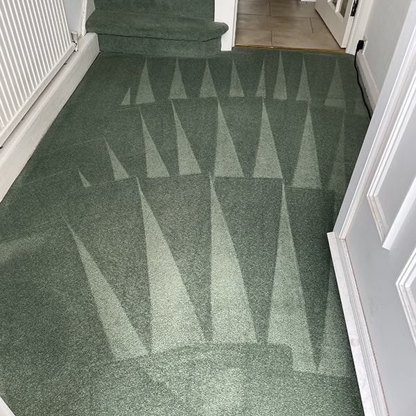 Carpet-cleaner-Woking.jpeg