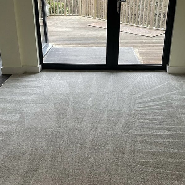 carpet cleaning in woking