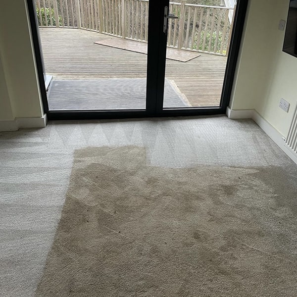 Professional-Carpet-cleaning-expert-Woking.jpeg