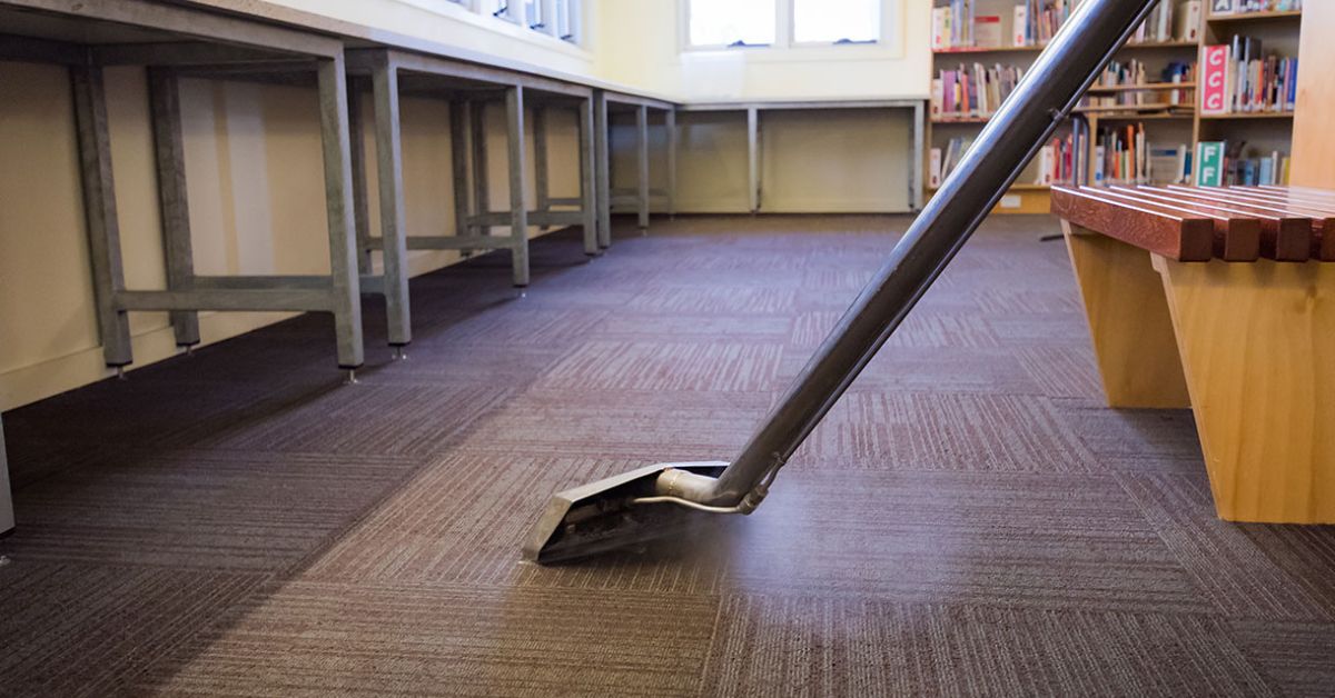 Can Carpet Cleaning Kill Fleas? Carpet Bird