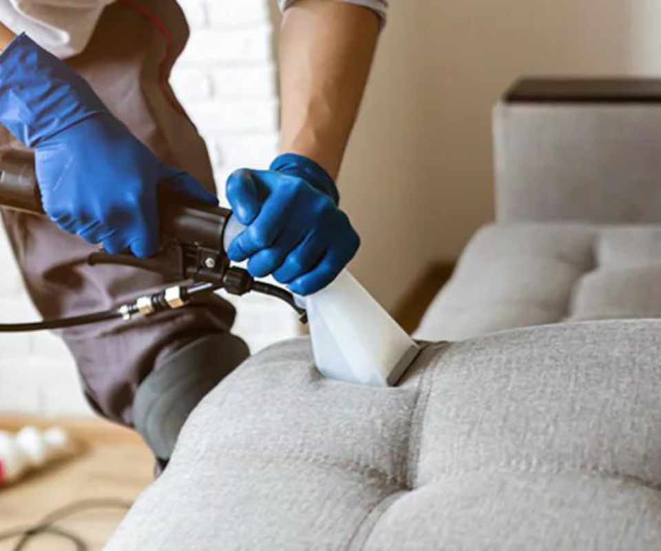 Upholstery Cleaning in Surrey